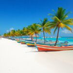 A sandy beach with a row of colorful wooden boats lined up near the shoreline. Tall palm trees stand along the beach, and the turquoise sea is visible under a clear blue sky.