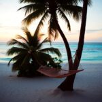 A serene Belize beach scene at sunset features two palm trees, one cradling a hammock. The calm ocean with gentle waves invites relaxation, while the sky’s soft pastel colors rejuvenate the spirit. The sandy shore remains smooth and undisturbed, a perfect haven for peace.