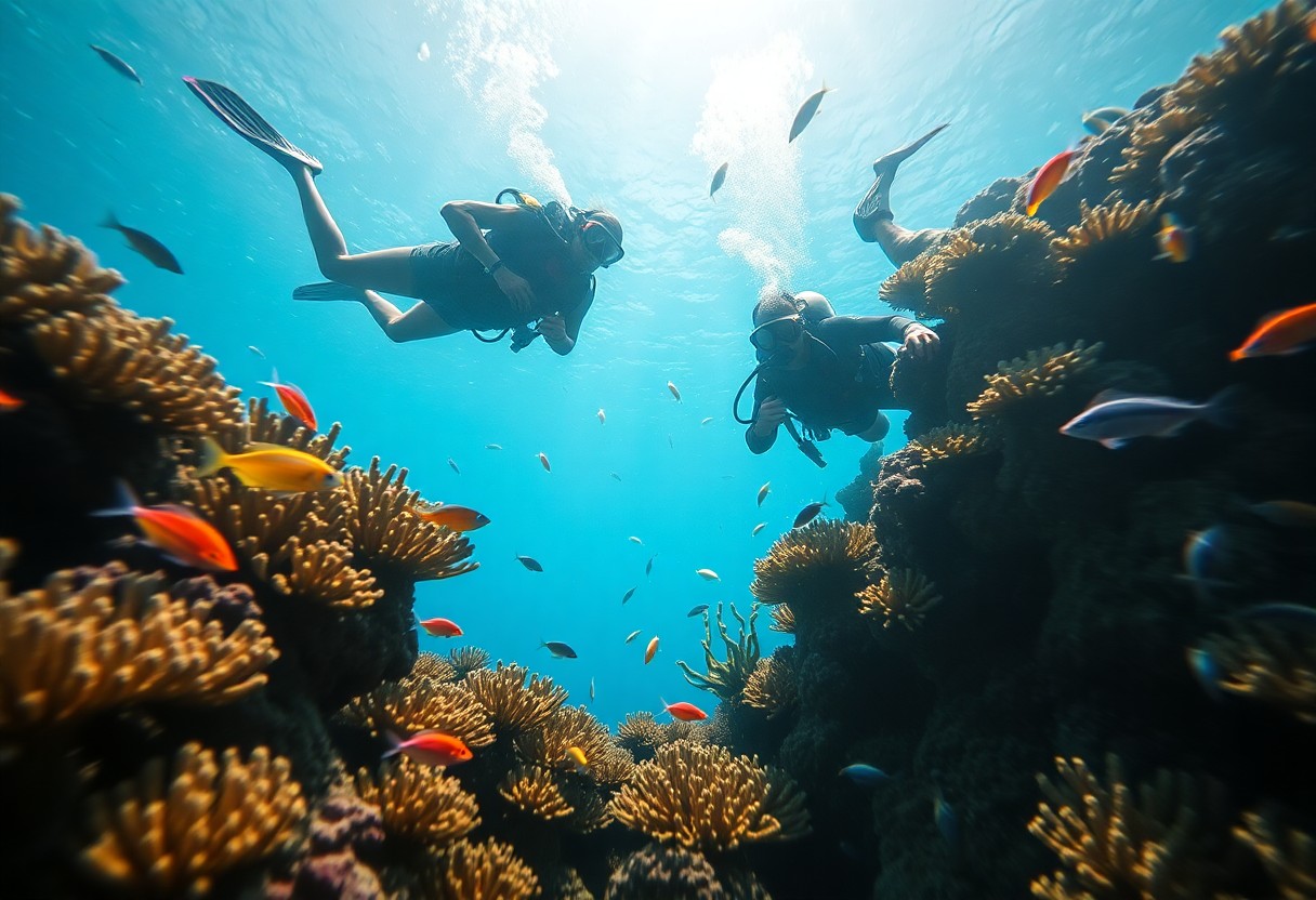Conservation divers