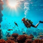 A scuba diver follows a diving guide near a coral reef surrounded by colorful fish and sea turtles, with sunlight streaming through the clear blue water.